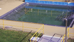 Whirlpool koupaliště Rusava