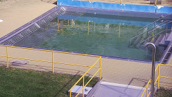 Whirlpool koupaliště Rusava