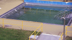 Whirlpool koupaliště Rusava