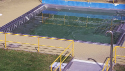 Whirlpool koupaliště Rusava