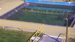 Whirlpool koupaliště Rusava