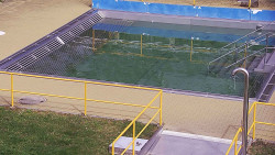 Whirlpool koupaliště Rusava