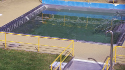 Whirlpool koupaliště Rusava