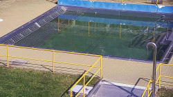 Whirlpool koupaliště Rusava