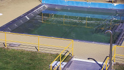 Whirlpool koupaliště Rusava