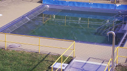 Whirlpool koupaliště Rusava