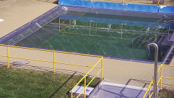 Whirlpool koupaliště Rusava