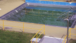 Whirlpool koupaliště Rusava