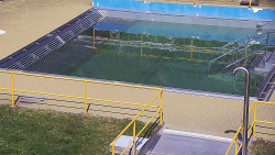 Whirlpool koupaliště Rusava