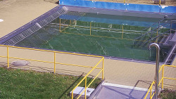 Whirlpool koupaliště Rusava