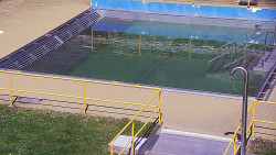 Whirlpool koupaliště Rusava