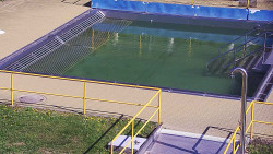 Whirlpool koupaliště Rusava