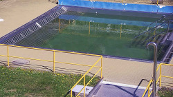 Whirlpool koupaliště Rusava