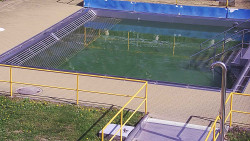 Whirlpool koupaliště Rusava