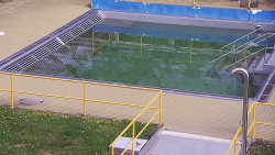 Whirlpool koupaliště Rusava