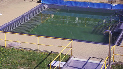 Whirlpool koupaliště Rusava