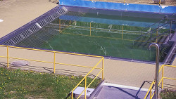 Whirlpool koupaliště Rusava