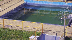 Whirlpool koupaliště Rusava