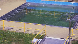 Whirlpool koupaliště Rusava