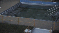 Whirlpool koupaliště Rusava