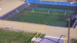 Whirlpool koupaliště Rusava