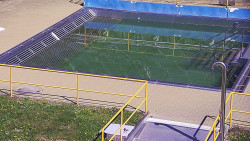 Whirlpool koupaliště Rusava