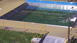 Whirlpool koupaliště Rusava