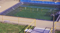 Whirlpool koupaliště Rusava