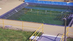 Whirlpool koupaliště Rusava