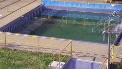 Whirlpool koupaliště Rusava