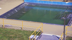 Whirlpool koupaliště Rusava