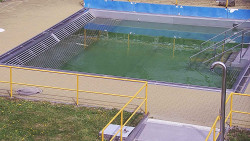 Whirlpool koupaliště Rusava