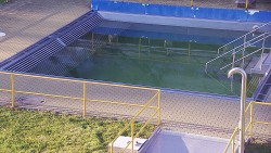 Whirlpool koupaliště Rusava