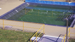 Whirlpool koupaliště Rusava
