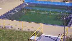 Whirlpool koupaliště Rusava