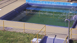 Whirlpool koupaliště Rusava