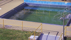 Whirlpool koupaliště Rusava