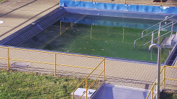 Whirlpool koupaliště Rusava