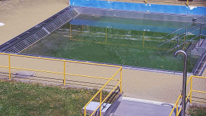Koupaliště Rusava - Whirlpool koupaliště Rusava - 6.5.2026 v 12:30 Koupaliště Rusava - Whirlpool koupaliště Rusava - 6.5.2026 v 12:30