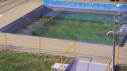 Whirlpool koupaliště Rusava