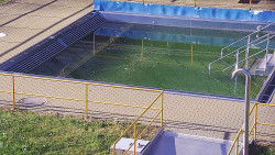 Whirlpool koupaliště Rusava