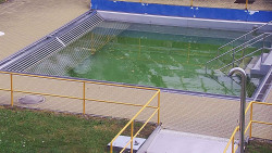 Whirlpool koupaliště Rusava