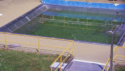 Whirlpool koupaliště Rusava