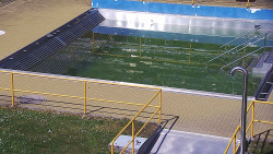 Whirlpool koupaliště Rusava
