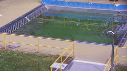 Whirlpool koupaliště Rusava