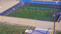 Whirlpool koupaliště Rusava