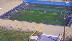 Whirlpool koupaliště Rusava