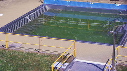 Whirlpool koupaliště Rusava