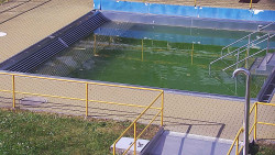 Whirlpool koupaliště Rusava