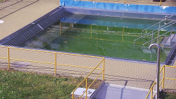 Whirlpool koupaliště Rusava